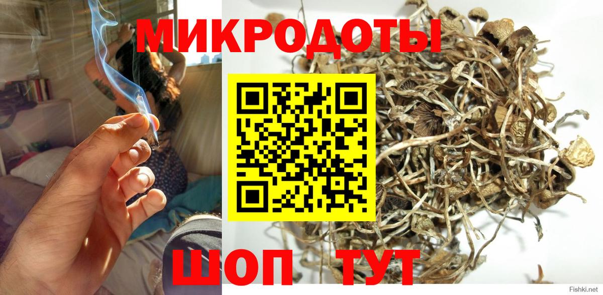 Псилоцибиновые грибы Psilocybe  цена наркотик  Белебей  Вход с VPN  Псилоцибиновые грибы прущие грибы 